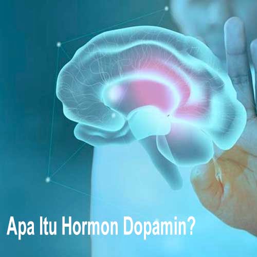 Apa Itu Hormon Dopamin? Ketahui Penjelasannya Berikut Ini!